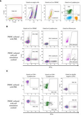 Innate Immune Responses to Wildtype and Attenuated Sheeppox Virus Mediated Through RIG-1 Sensing in PBMC In-Vitro